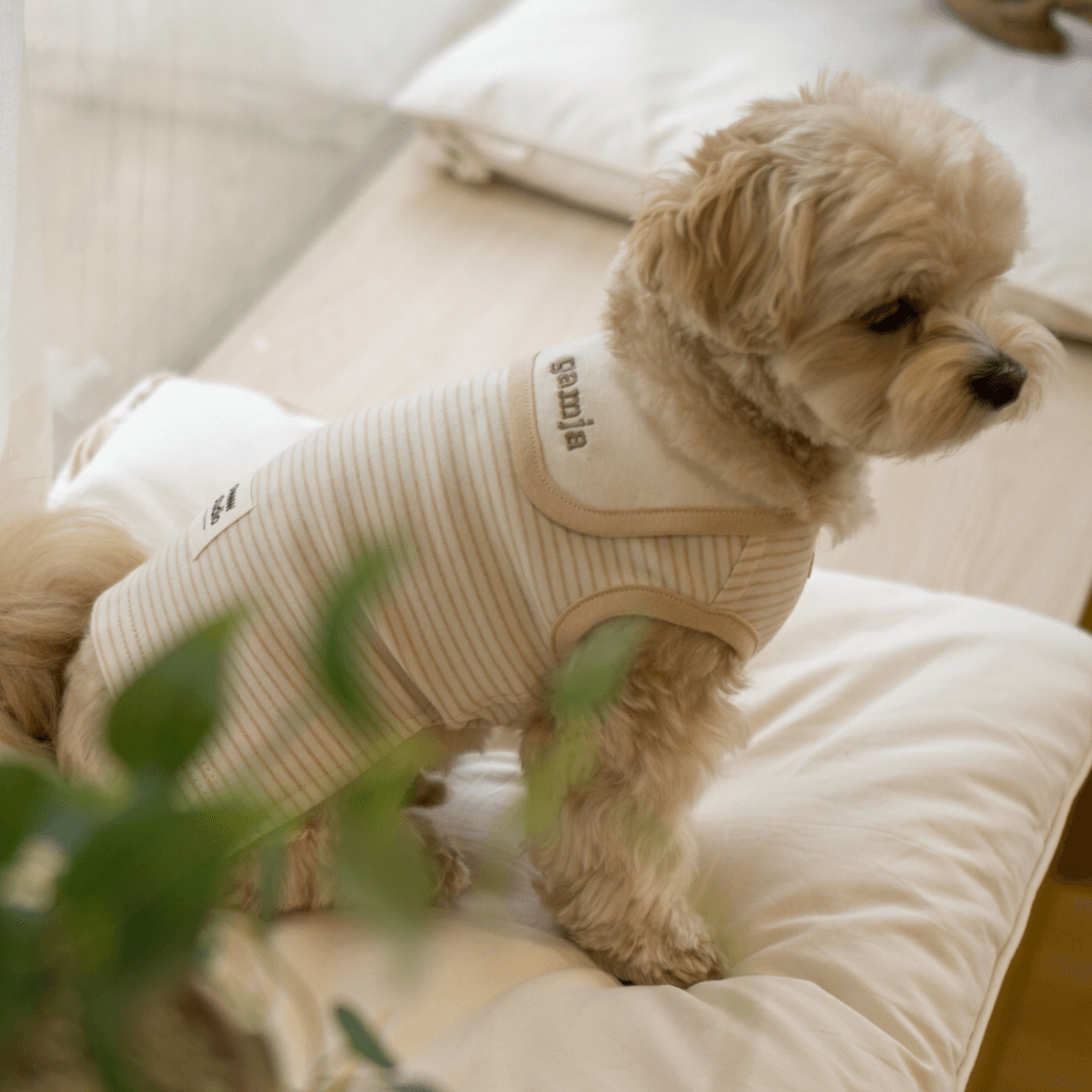 【予約】ORGANIC SAILOR SLEEVLESS(ネーム刺繍可 / 2COLOR)