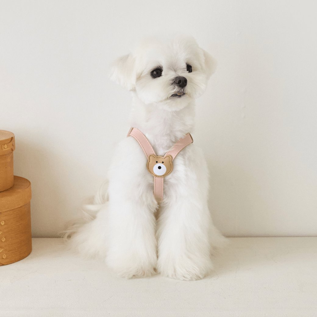 BEAR HARNESS(Indi Pink)