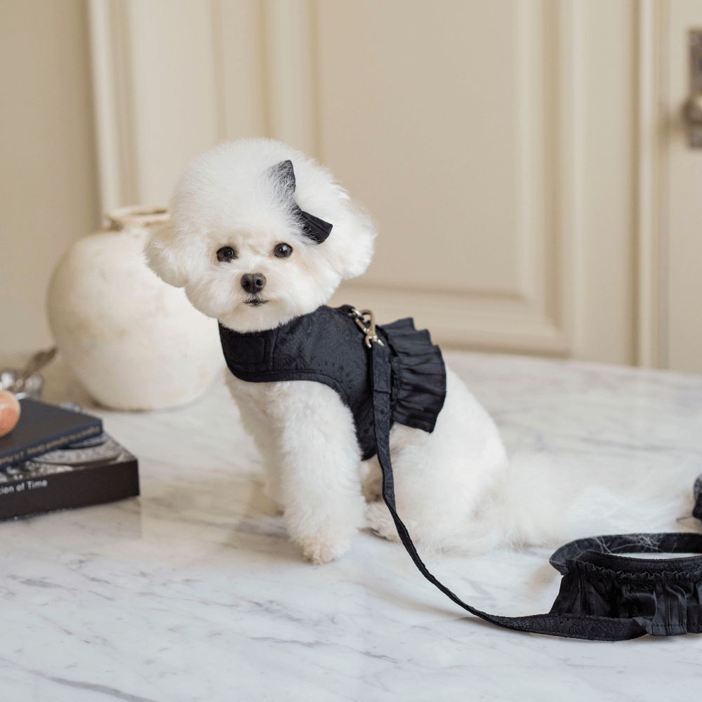 専用】Shimmer Jacquard Harness (Black) Mサイズ