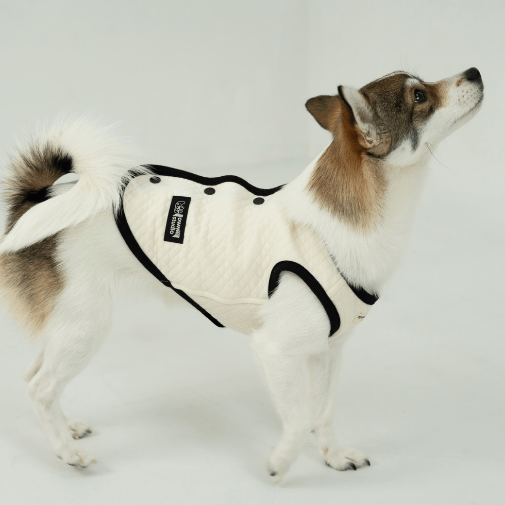 【予約】ORGANIC QUILTED VEST – OWWW x VERVVE edition(ネーム刺繍可)