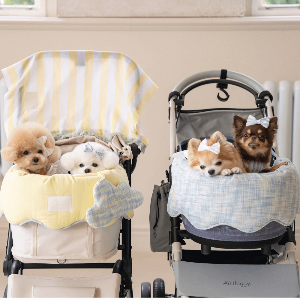 【予約】Blue Summer Tweed Buggy Guard