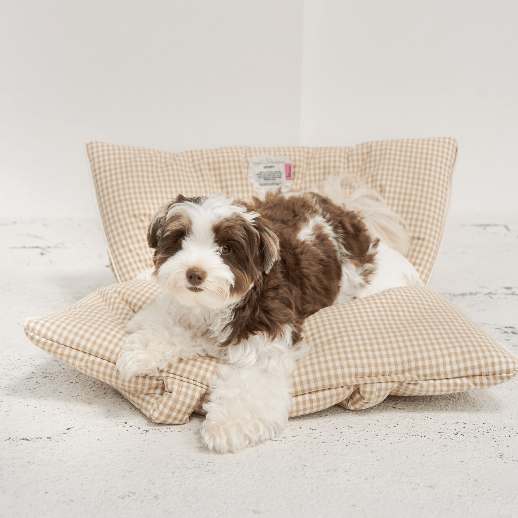 【9/9 20:00-】wide bag - plaid beige(APERTY)