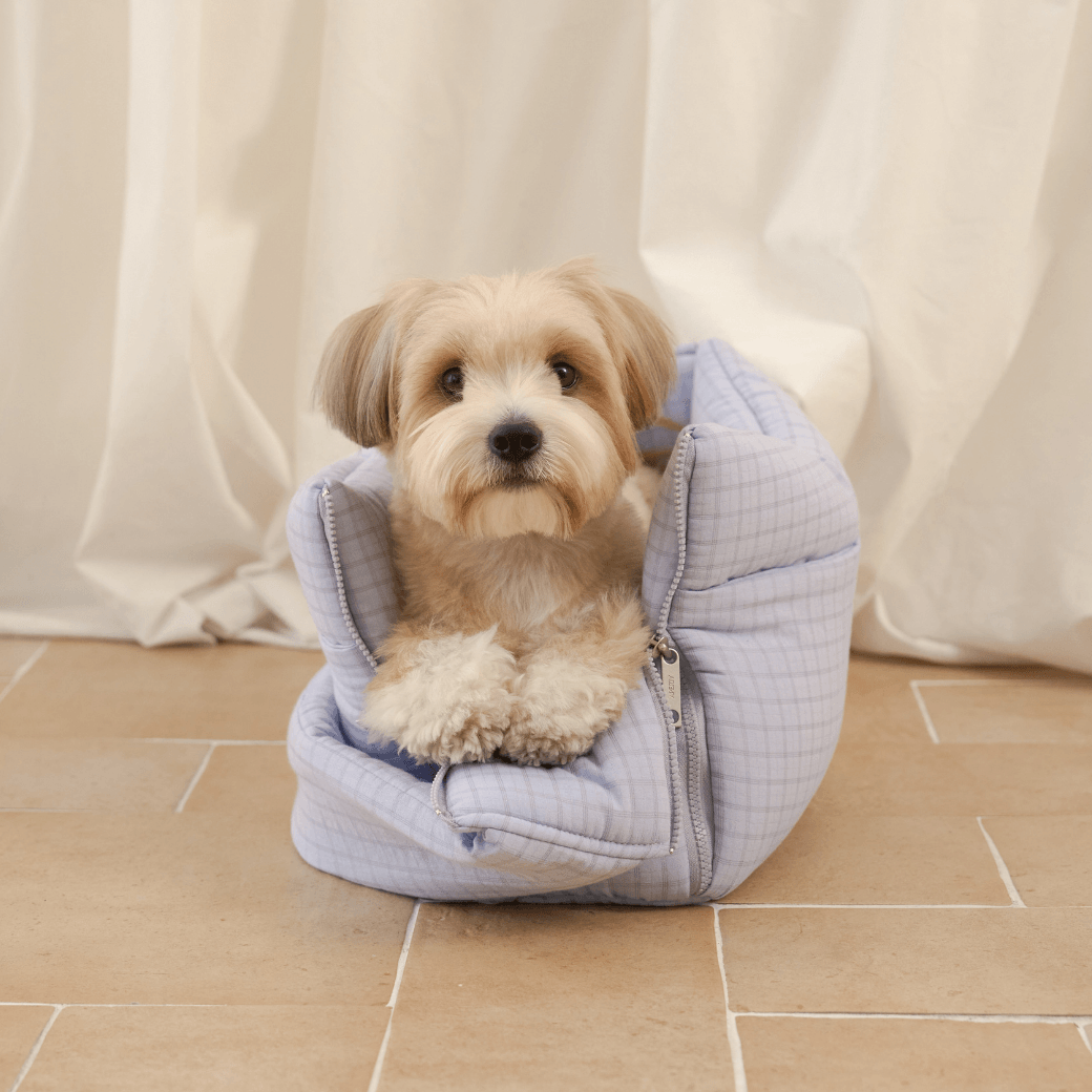 【予約】open bag - check blue(APERTY)