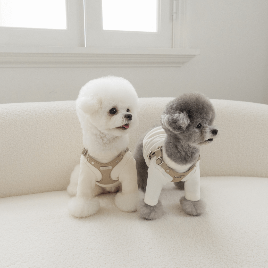 DELIGHT HARNESS(ベージュ)