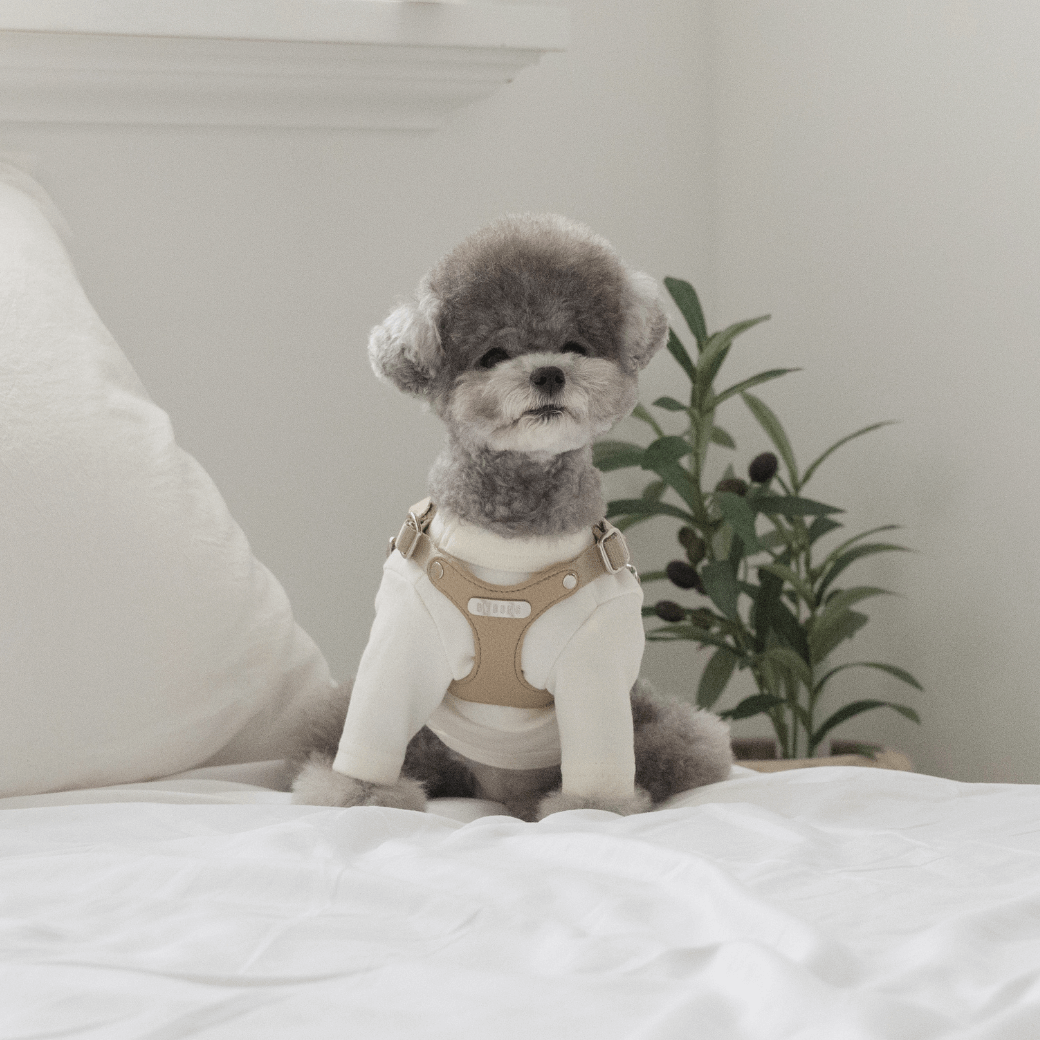 DELIGHT HARNESS(ベージュ)
