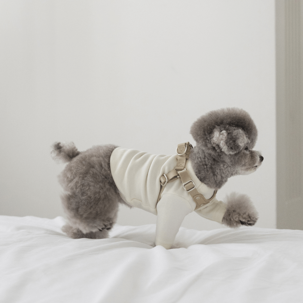 DELIGHT HARNESS(ベージュ)