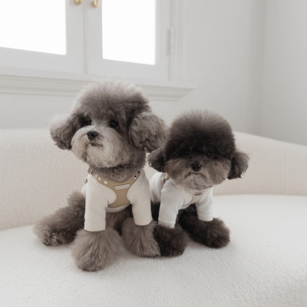 DELIGHT HARNESS(ベージュ)