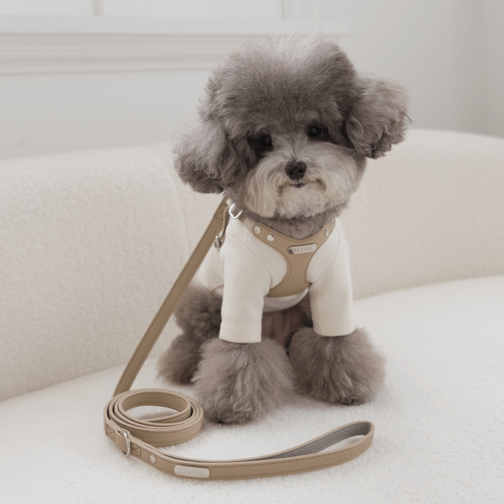 DELIGHT HARNESS(ベージュ)
