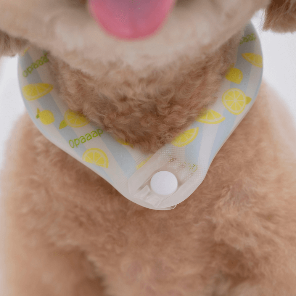 OPAAAP×SUO Ice Cool Ring (Zesty Lemon)