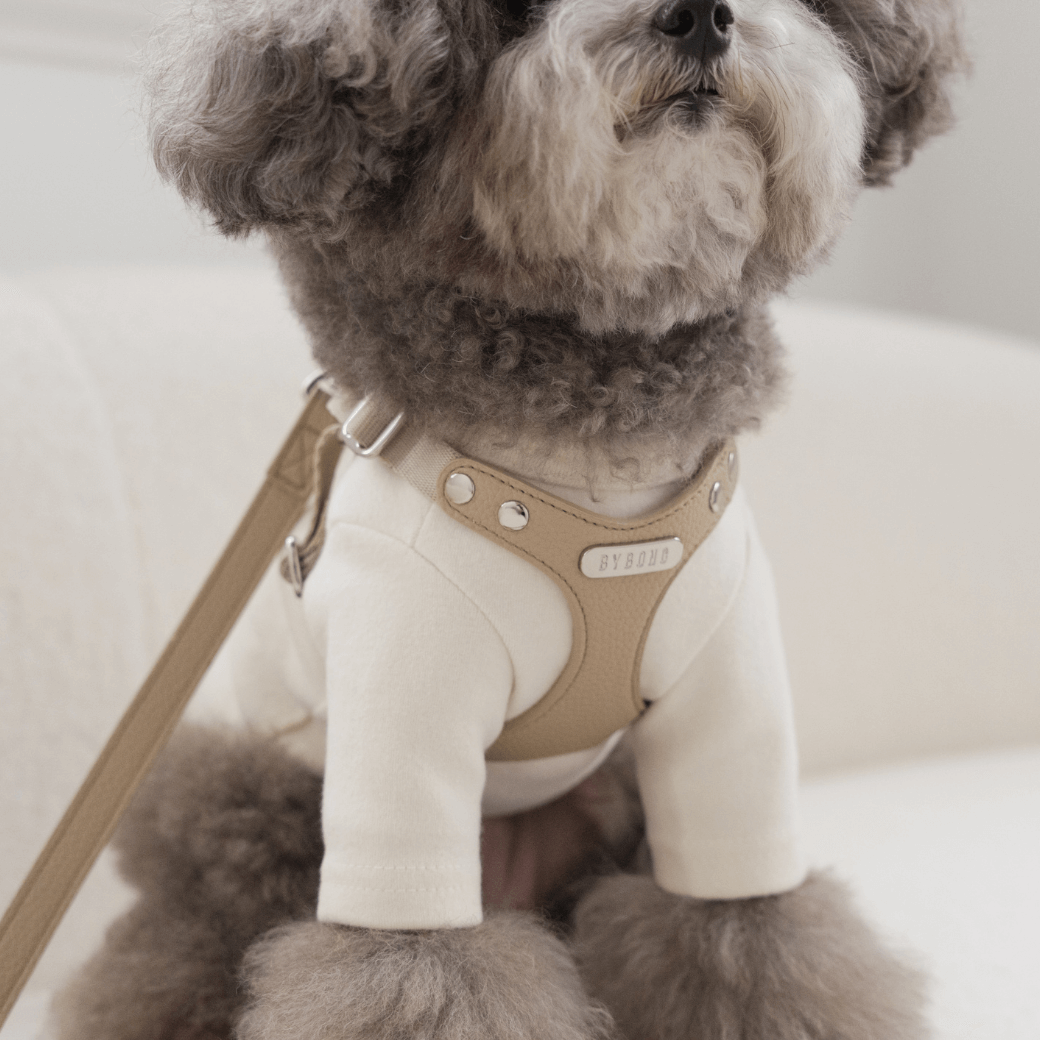 DELIGHT HARNESS(ベージュ)