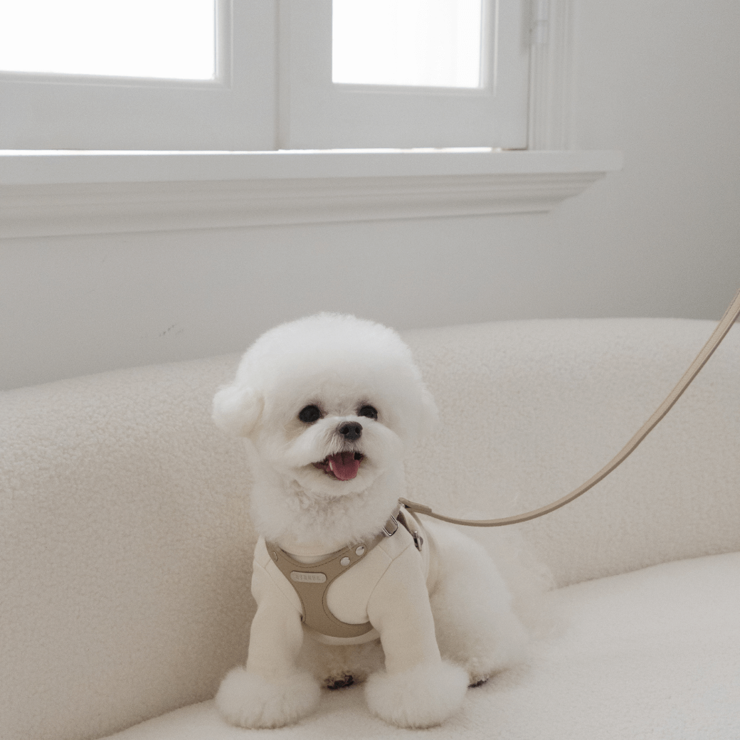 DELIGHT HARNESS(ベージュ)