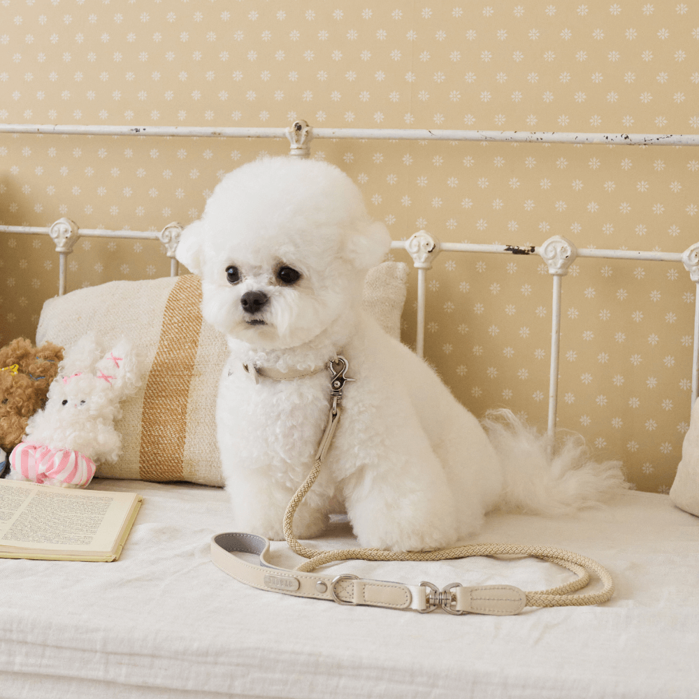 【予約】BLISS ROPE LEASH(Baby Cream)