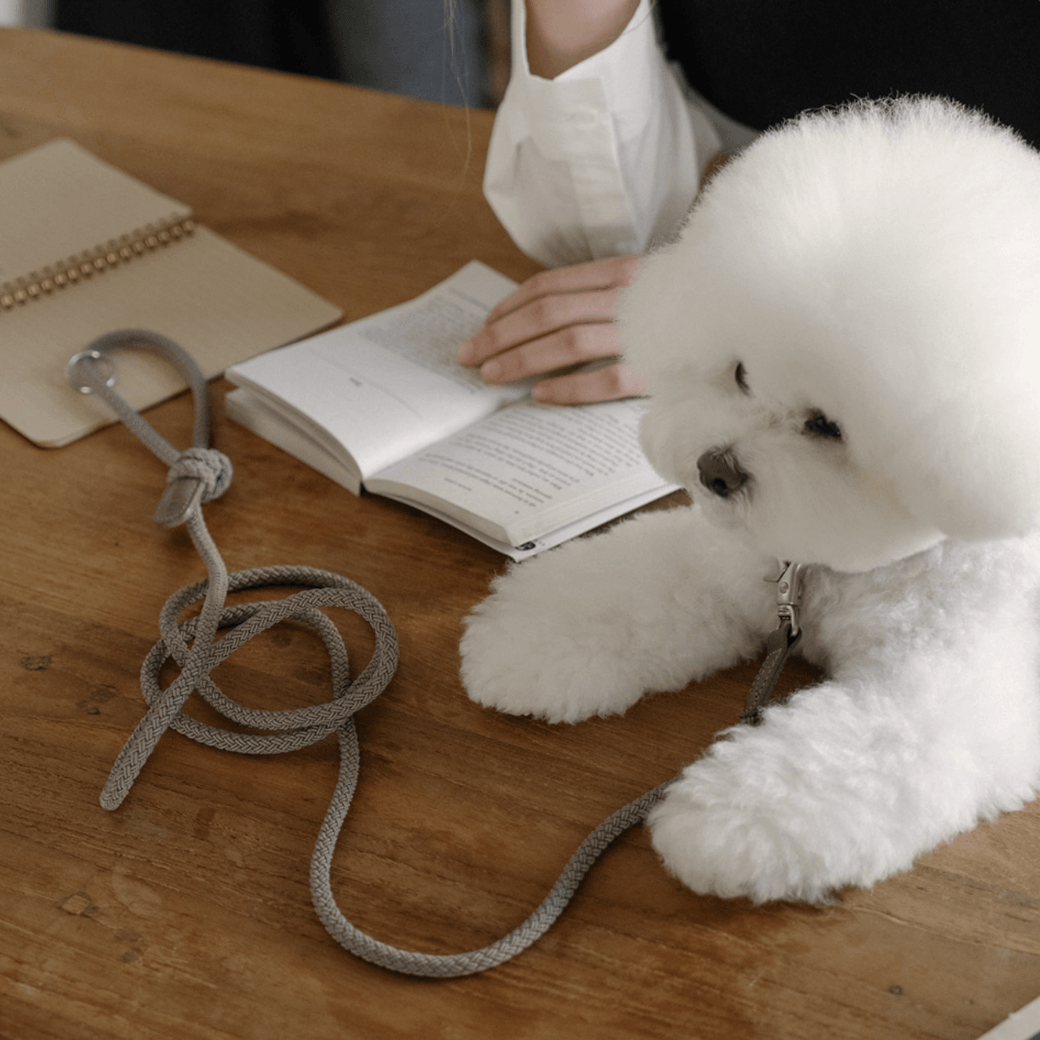 Rope Leash (Ash Grey)