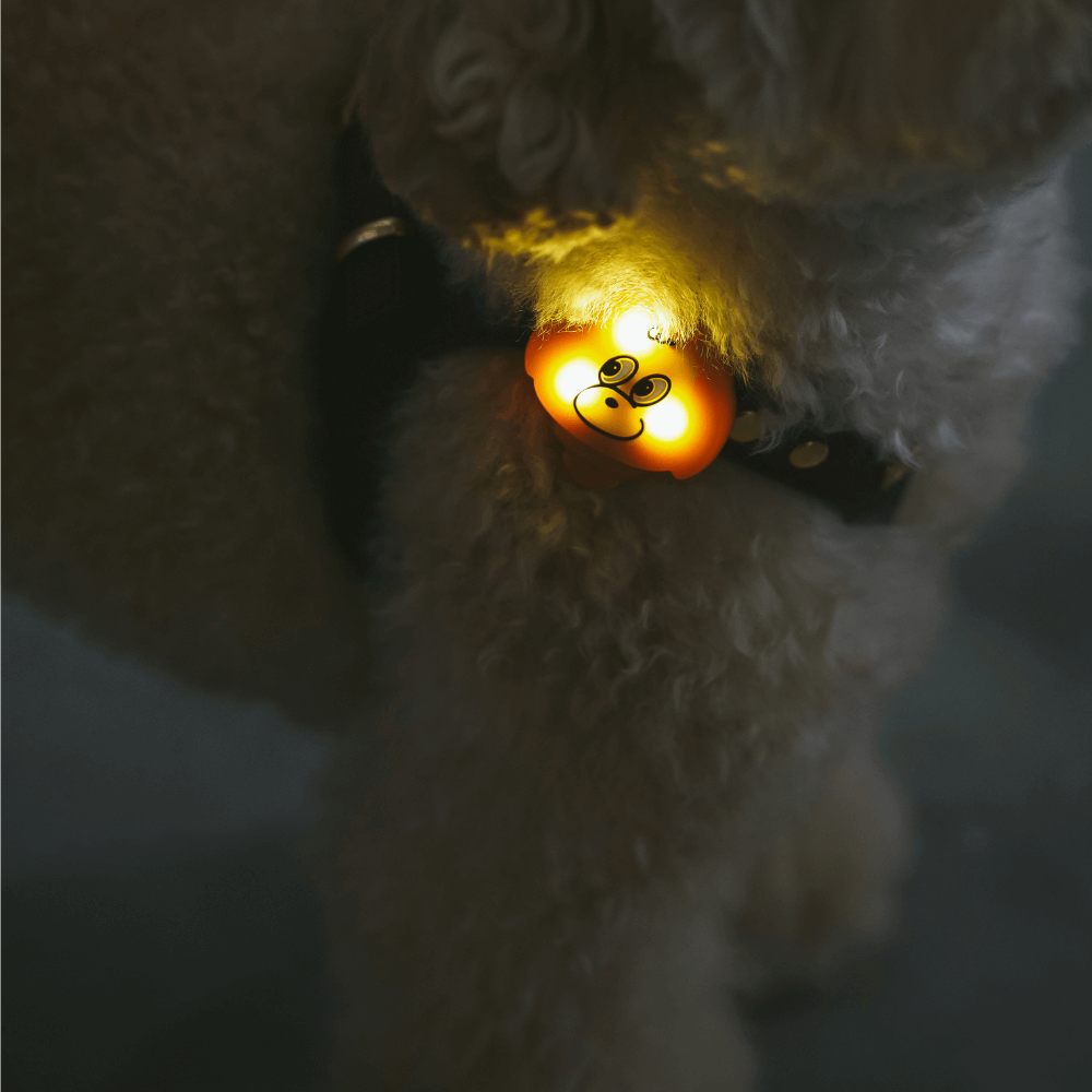 犬の夜散歩用LEDライト MINIME