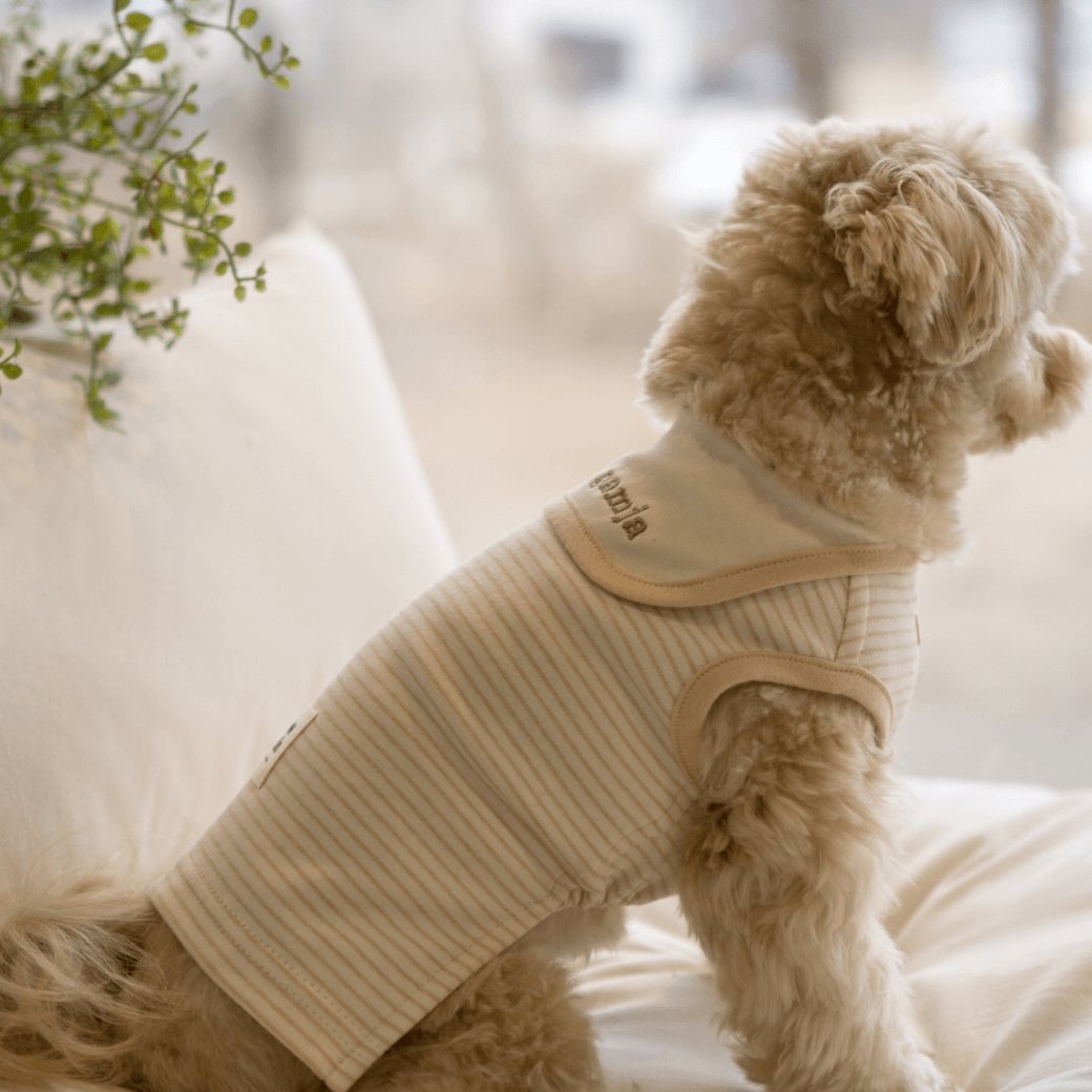 【予約】ORGANIC SAILOR SLEEVLESS(ネーム刺繍可 / 2COLOR)