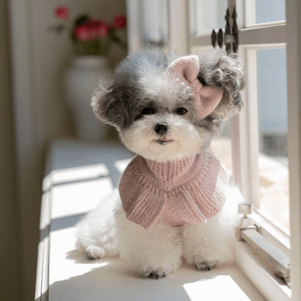 Glitter Frill Knit(Dusty Pink)