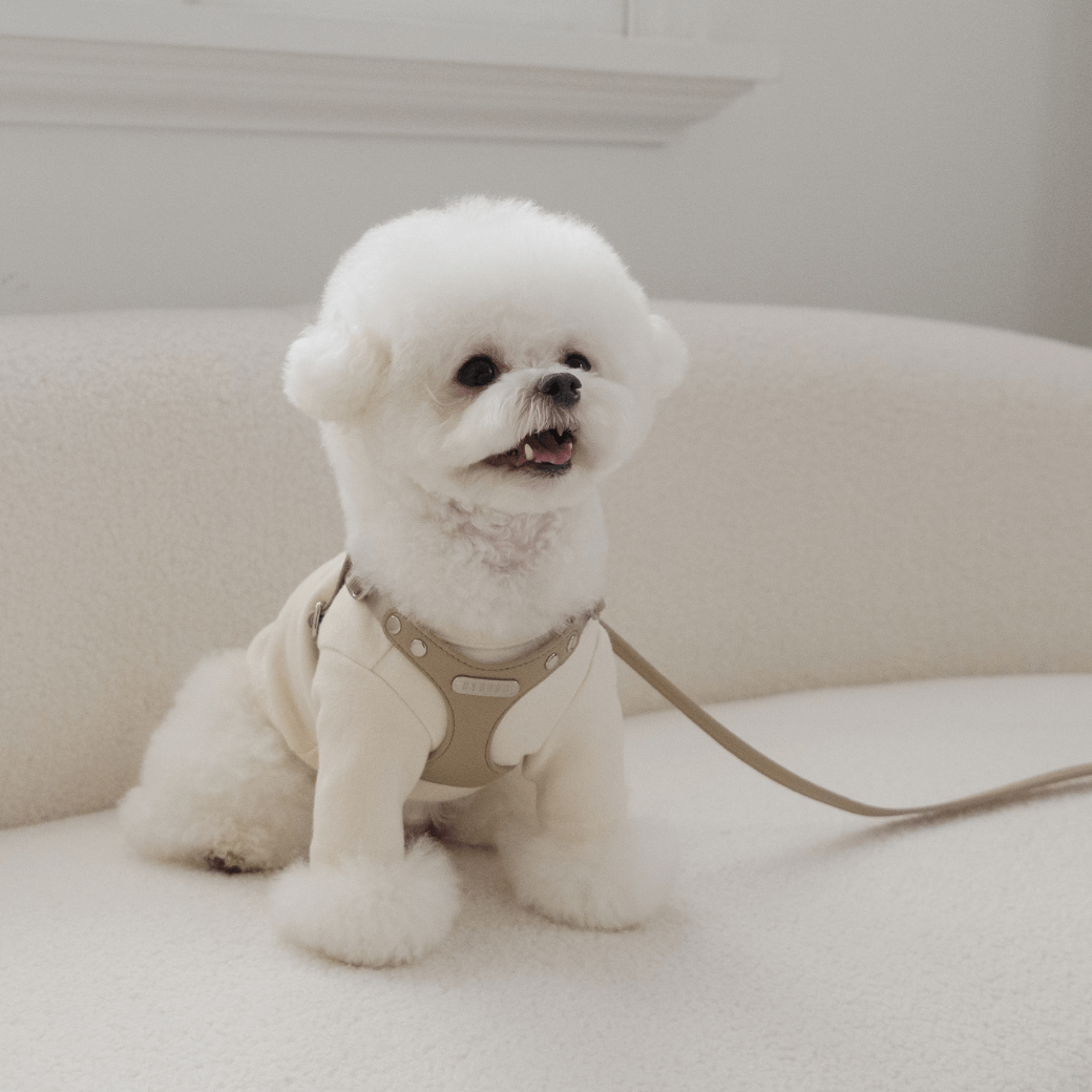 DELIGHT HARNESS(ベージュ)
