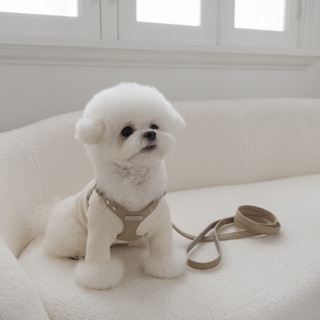 DELIGHT HARNESS(ベージュ)