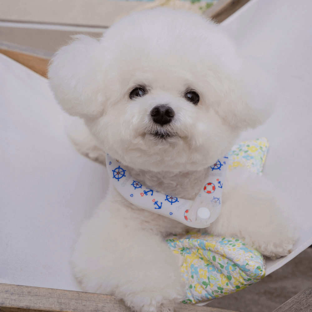 OPAAAP×SUO Ice Cool Ring (Cool Marine)