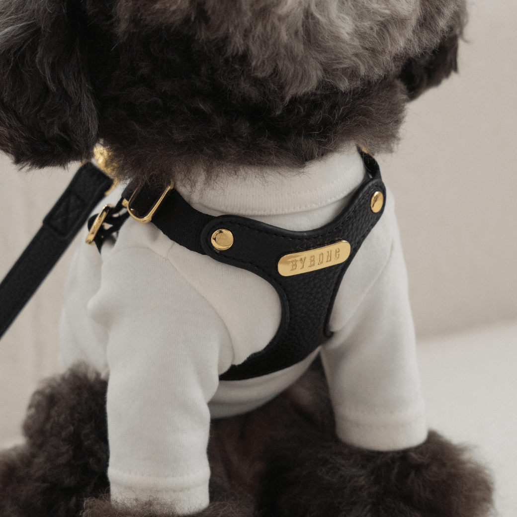 DELIGHT HARNESS バックルver(ブラック)