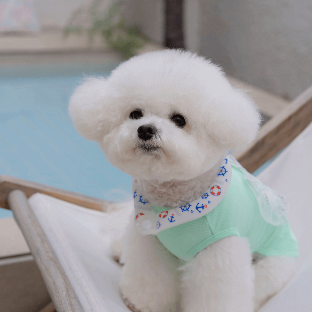 OPAAAP×SUO Ice Cool Ring (Cool Marine)