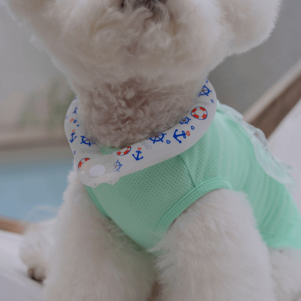 OPAAAP×SUO Ice Cool Ring (Cool Marine)