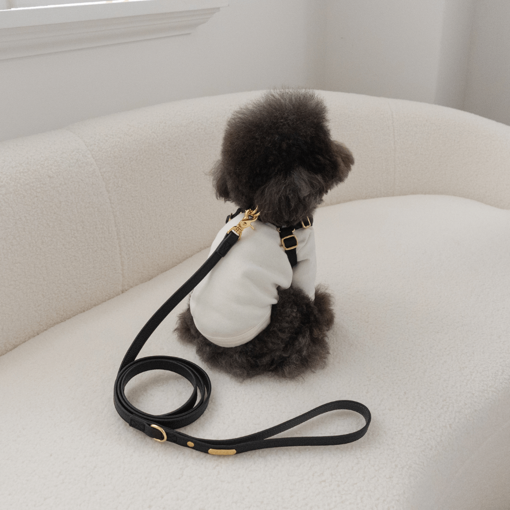 DELIGHT HARNESS バックルver(ブラック)