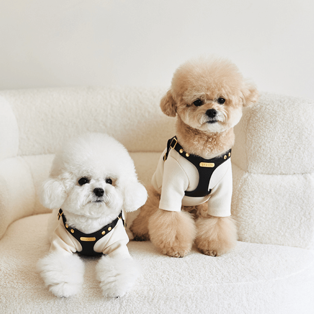 DELIGHT HARNESS バックルver(ブラック)