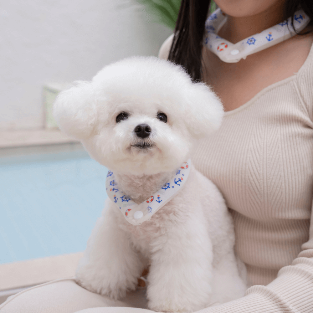 OPAAAP×SUO Ice Cool Ring (Cool Marine)