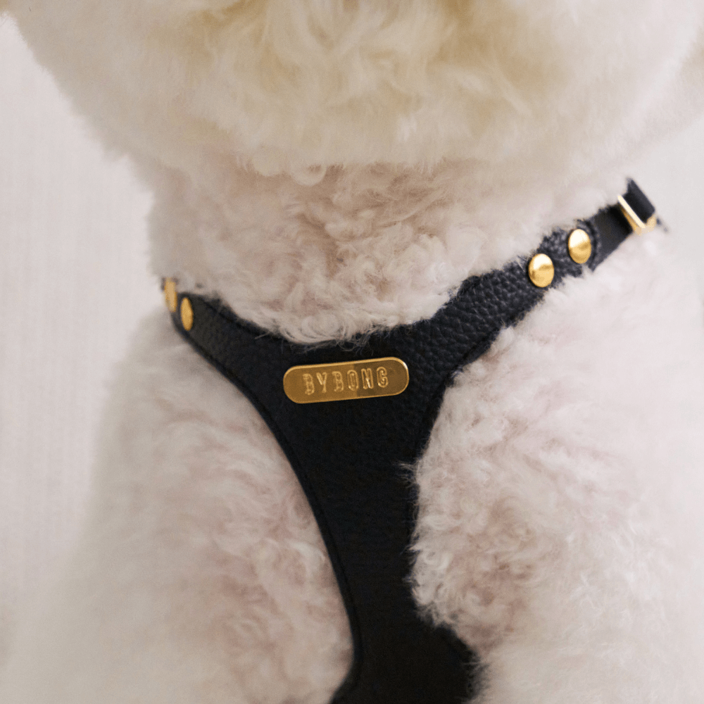 DELIGHT HARNESS バックルver(ブラック)