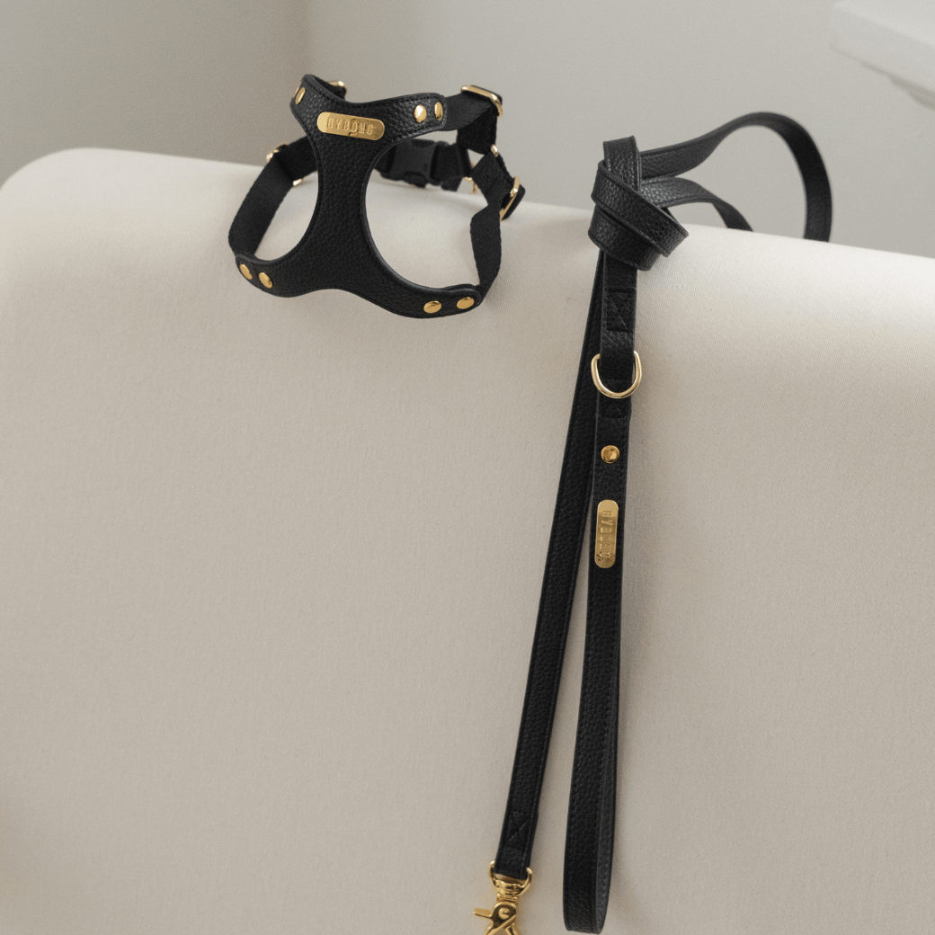 DELIGHT HARNESS バックルver(ブラック)