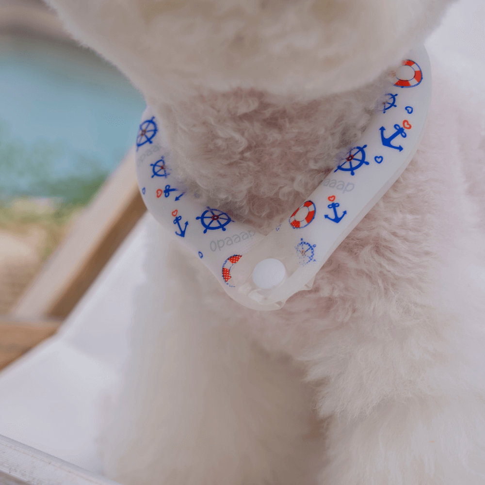 OPAAAP×SUO Ice Cool Ring (Cool Marine)