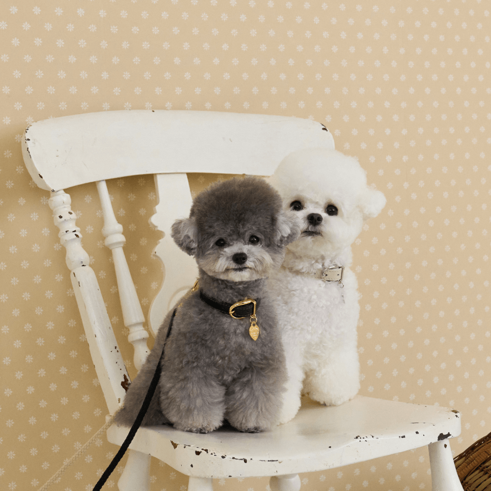 【予約】BLISS ROPE LEASH(Baby Cream)