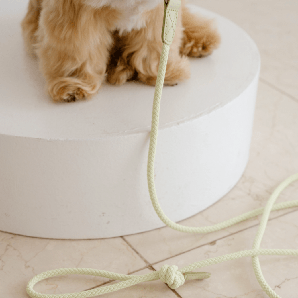 Rope Leash (Pistachio)