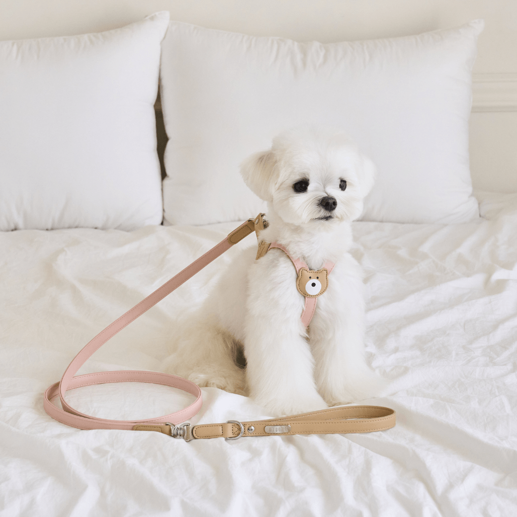BEAR HARNESS(Indi Pink)
