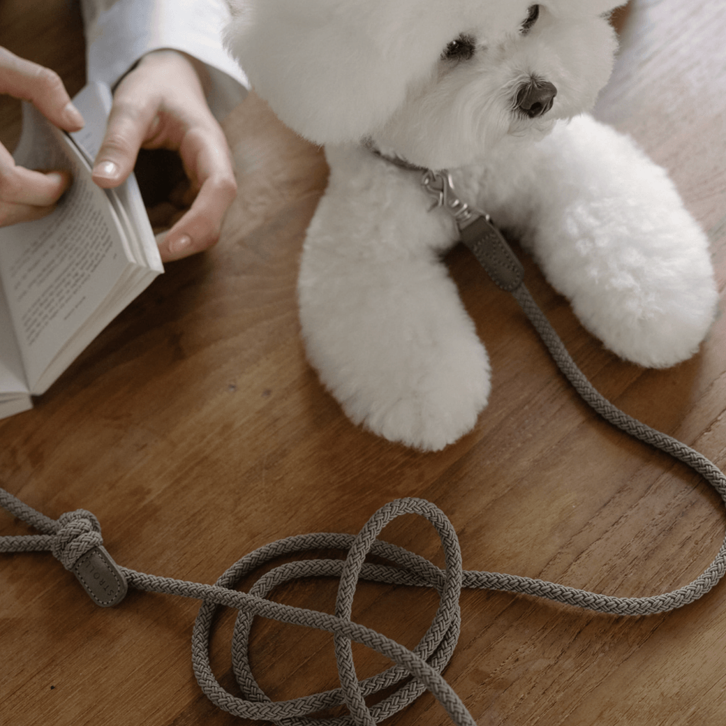 Rope Leash (Ash Grey)