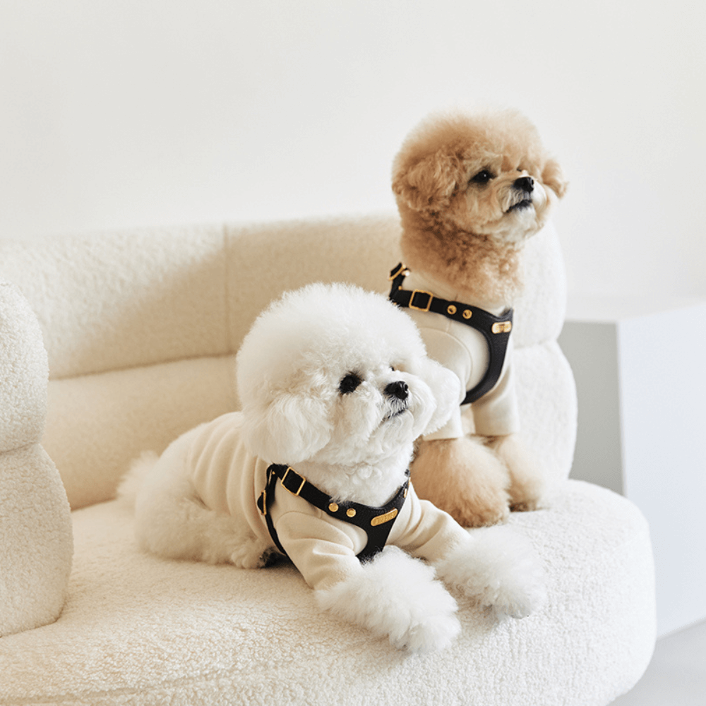 DELIGHT HARNESS バックルver(ブラック)