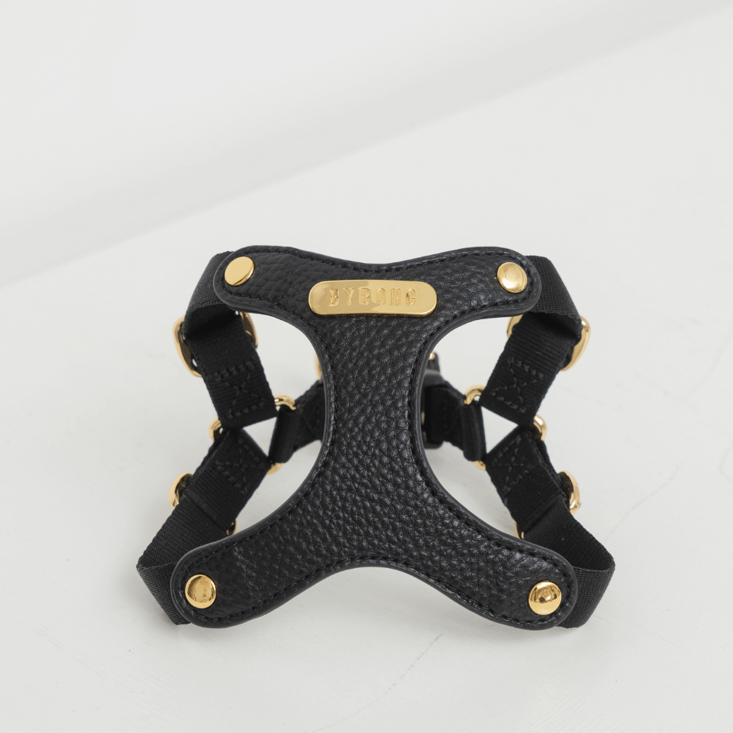 DELIGHT HARNESS バックルver(ブラック)