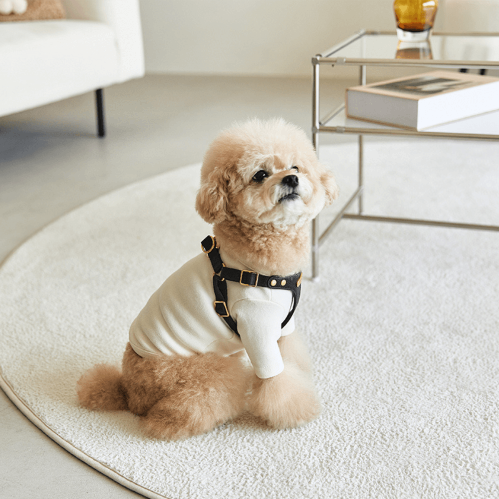 DELIGHT HARNESS バックルver(ブラック)