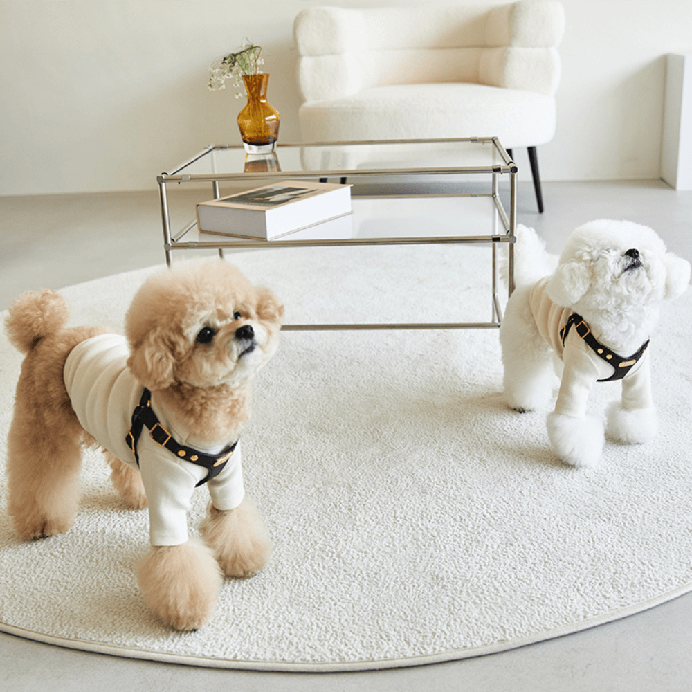 DELIGHT HARNESS バックルver(ブラック)