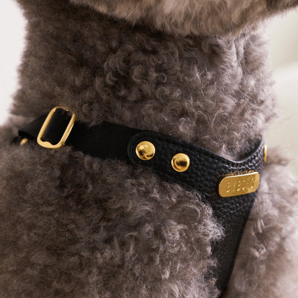 DELIGHT HARNESS バックルver(ブラック)