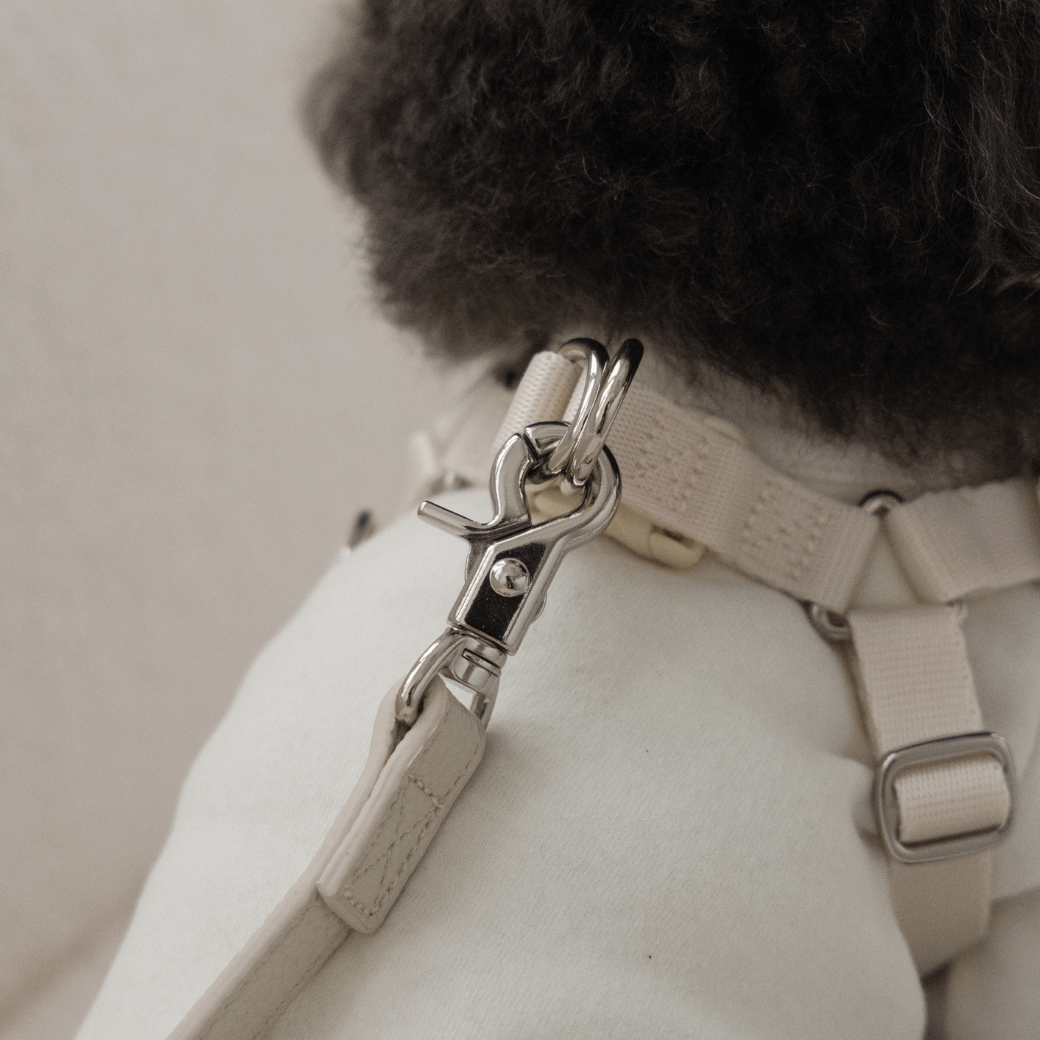【一部予約】DELIGHT HARNESS バックルver(クリーム)