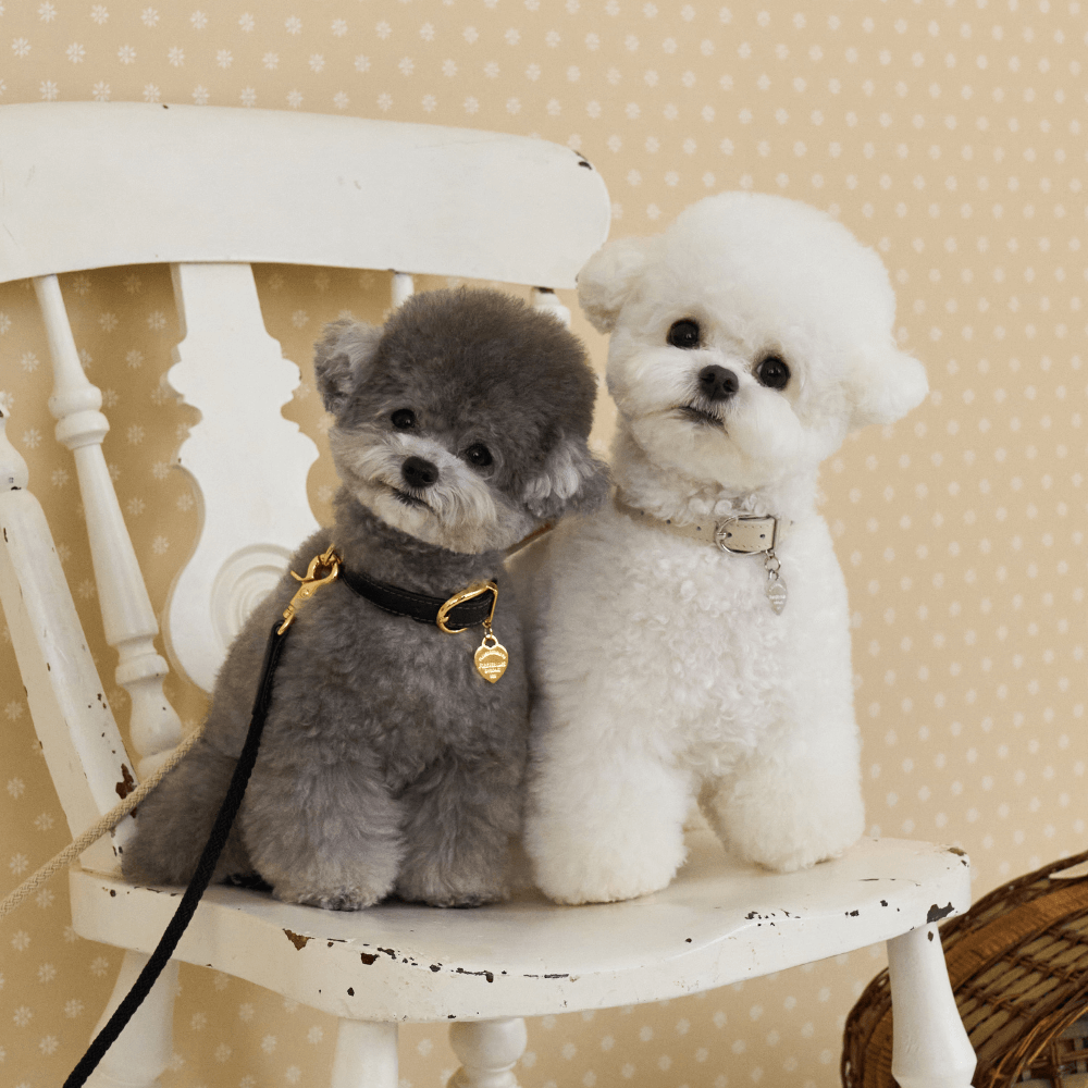 【予約】BLISS ROPE LEASH(Baby Cream)