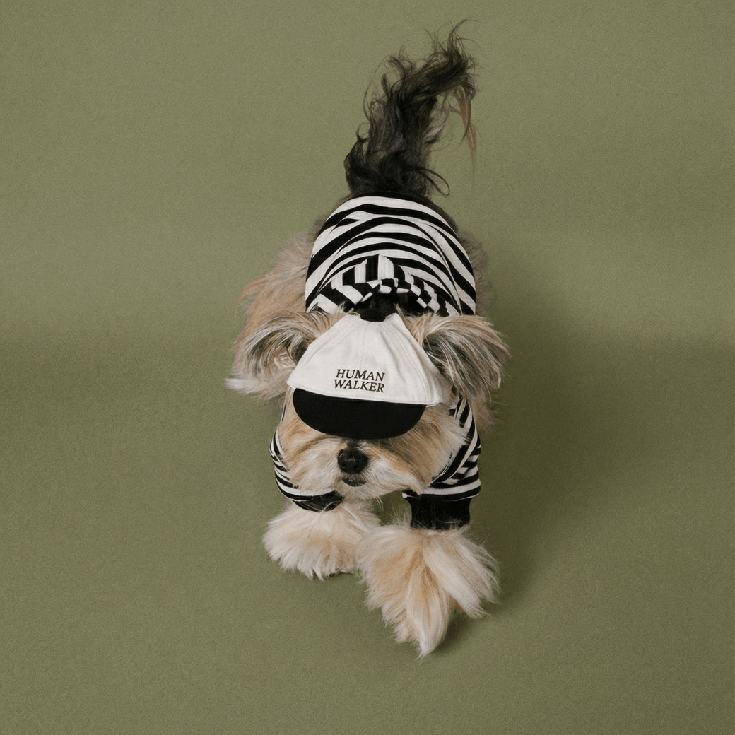 SCHOOL STRIPED HOODIE
