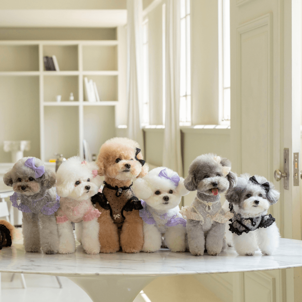 Odette Blouse(Lavender Haze)