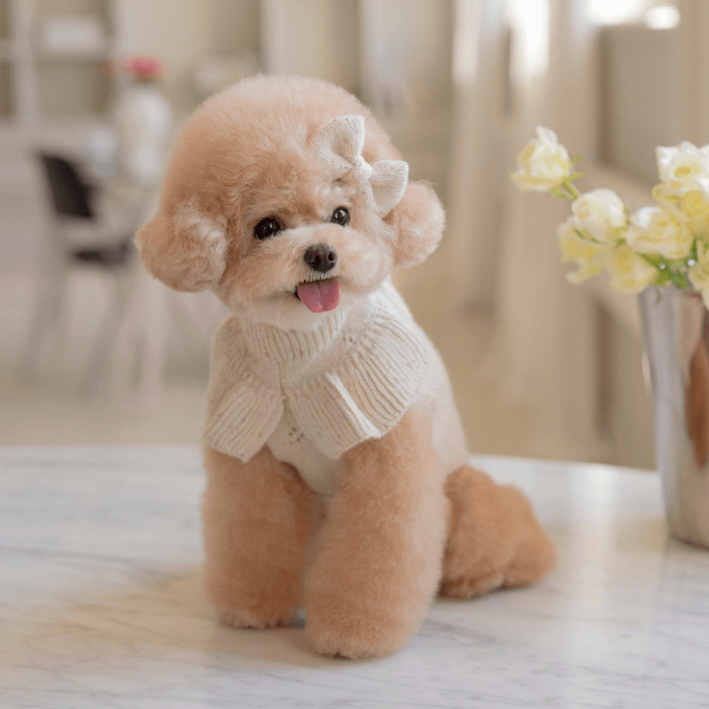 Glitter Frill Knit(Oatmeal)