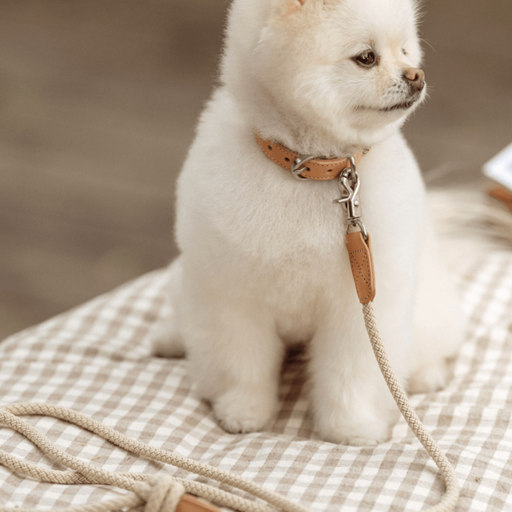 Rope Leash (Beige)