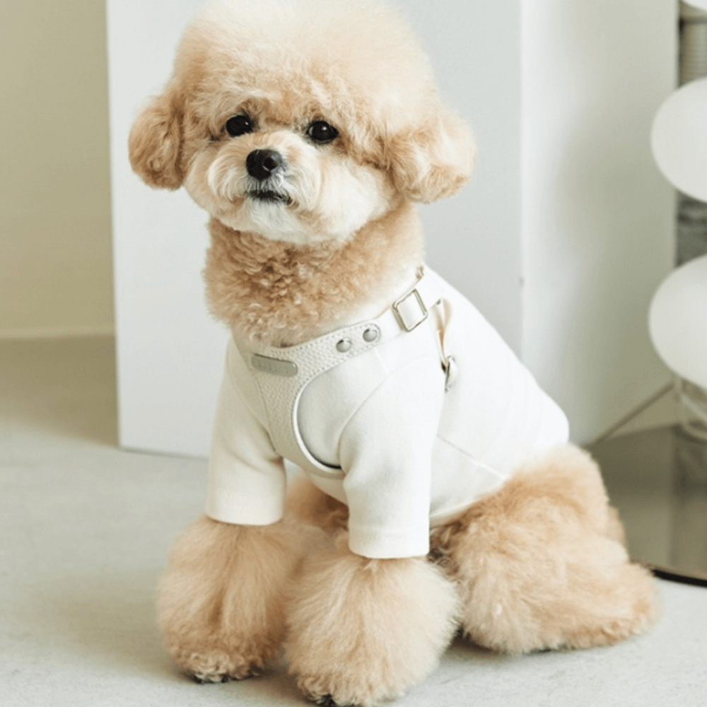 DELIGHT HARNESS バックルver(クリーム)