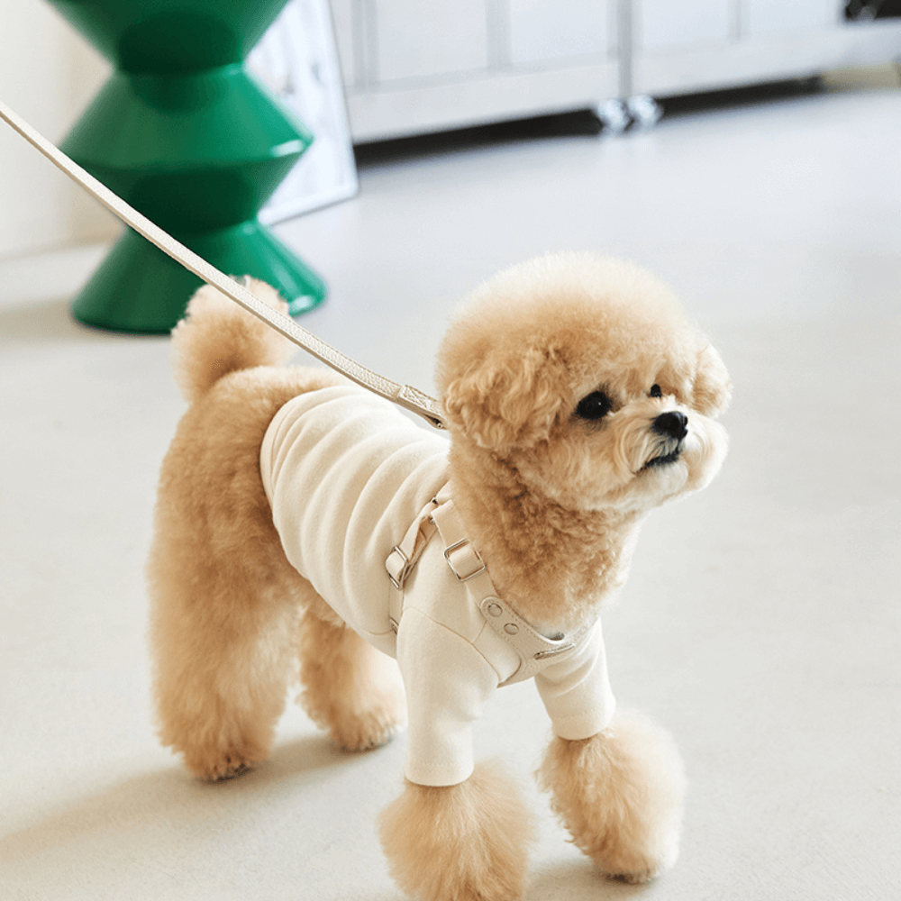 DELIGHT HARNESS バックルver(クリーム)