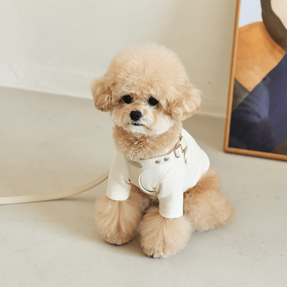 DELIGHT HARNESS バックルver(クリーム)